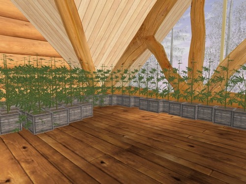 Web 5624e6c13f942f2438000001