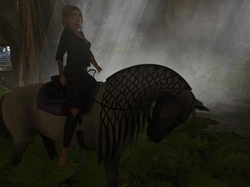 Web 5a5dd6f0d774f87234000001