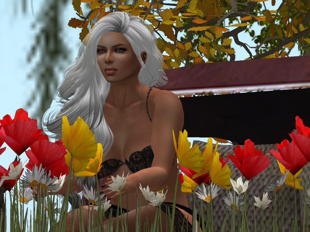 Original 58233c6cb713f74f4d000001