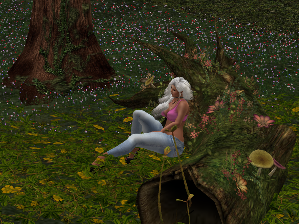 Original 58310d61b015403069000001