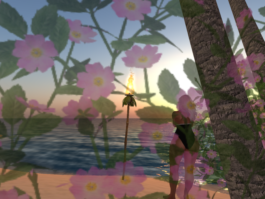 Original 5832721ce85cda47cb000001