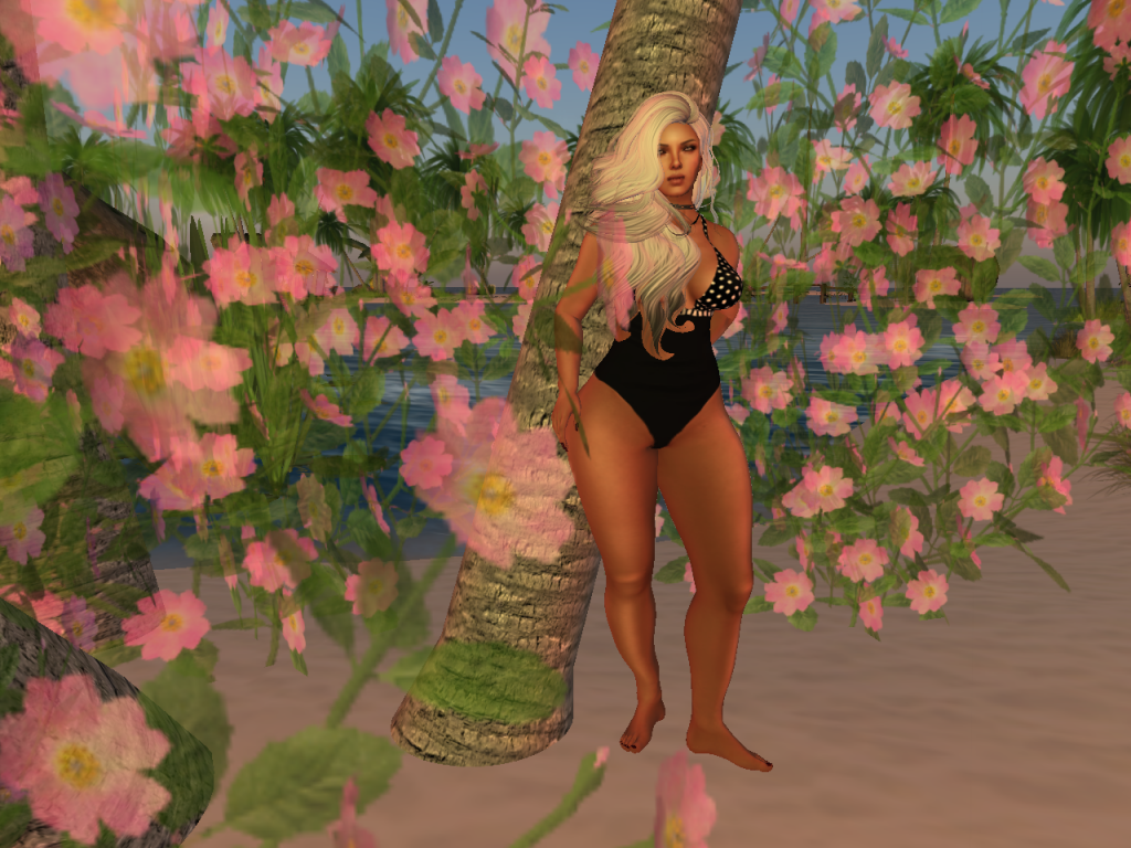 Original 583272e7f8a1ec02ad000001