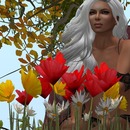 Thumb 58233de2e85cda3471000001