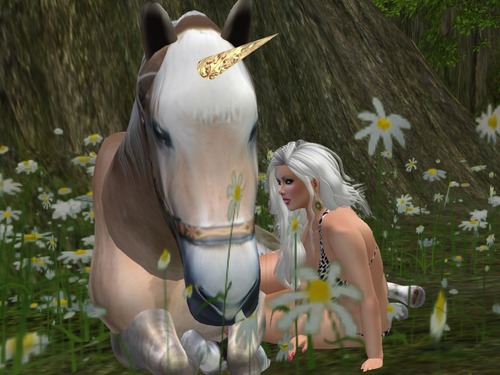 Web 57f7dcfee85cda62fa000001