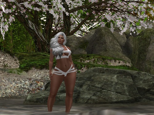 Web 58310197e85cda3f5c000001