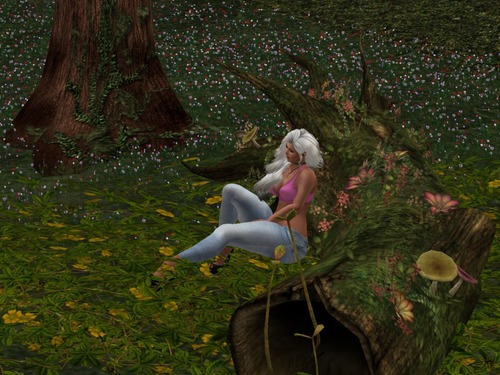 Web 58310d61b015403069000001