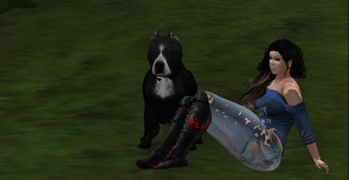 Web 58750846f8a1ec3ddc000001