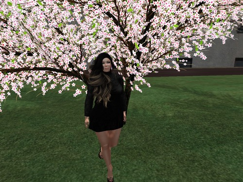 Web 5876f3b4b015405b47000001