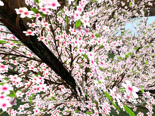 Web 5876f452b713f72e3c000001