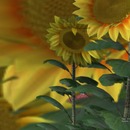 Thumb 51eb8593605ce76cbb000001