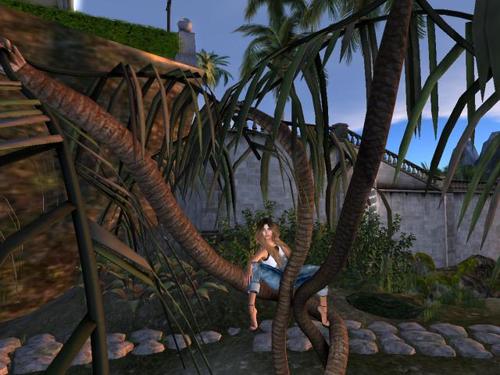 Web 5da74ed2d774f812b3000001