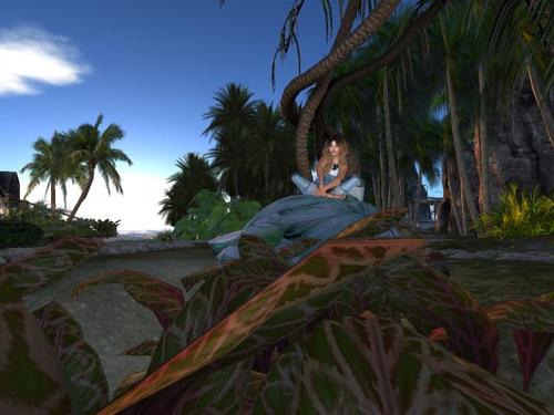 Web 5da74f08d774f815b1000001