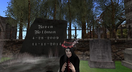 Web 546154a3128cc91222000001