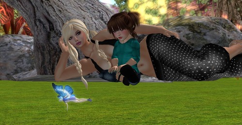 Web 515b887d282570248c000001