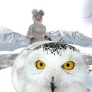 Thumb 57e7a2c8b015404640000001