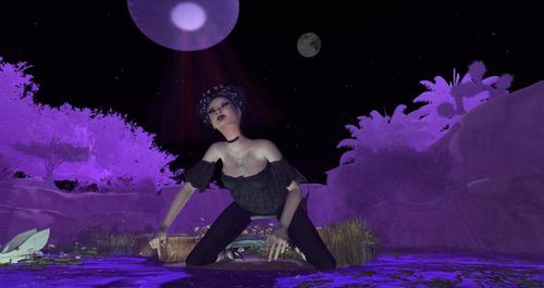 Web 5d46a102d774f85411000001