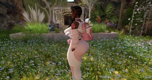 Web 5dd3caf7289dd26d5d000001