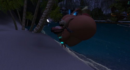 Web 5791e5fde85cda4f97000001