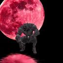 Thumb 5cf0536a73ed172603000001