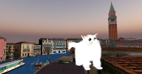 Web 51cfc2f31ea1885789000001