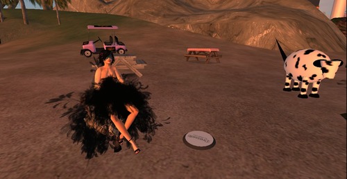 Web 527edd3e730c9161c9000001