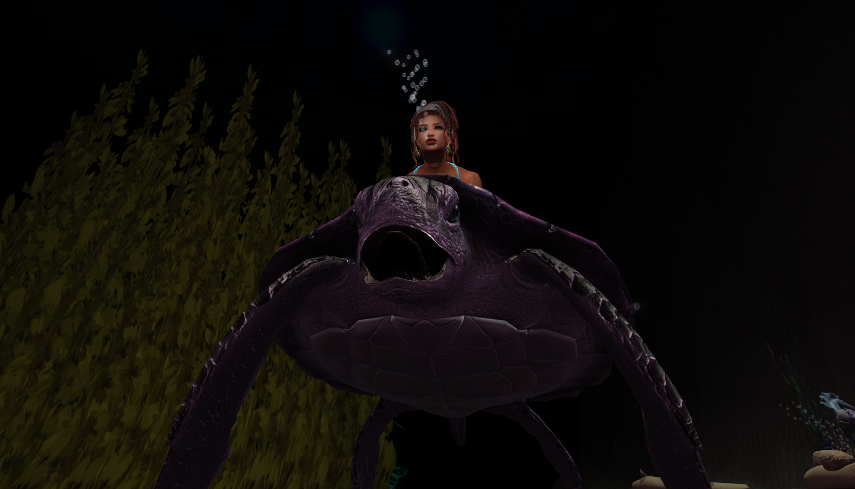 Original 630c0fd0cf7a007b39562f3d