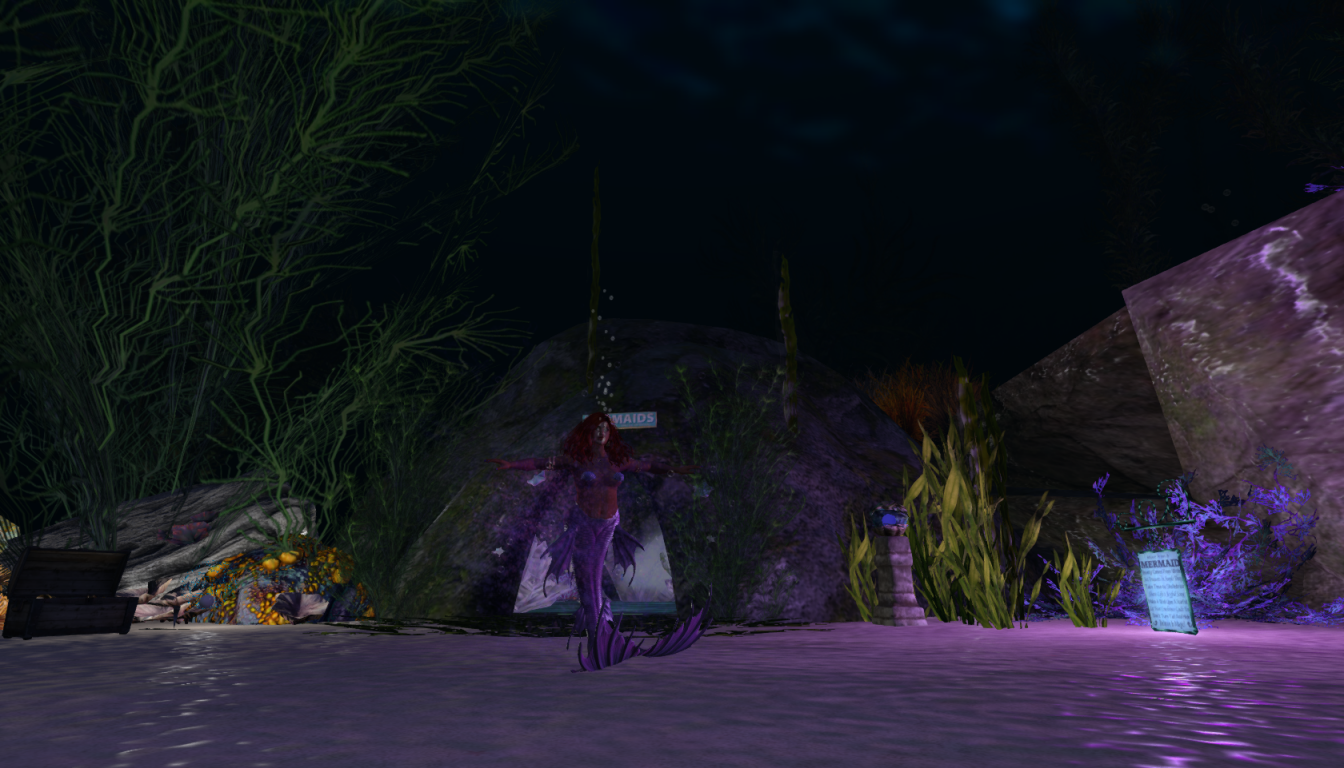 Original 6317ffddc9fe413b0e4fb557