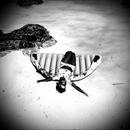 Thumb 6303b45b5e66b85cd799b99c