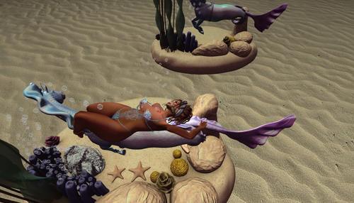 Web 630c1042cb2a674806685f75