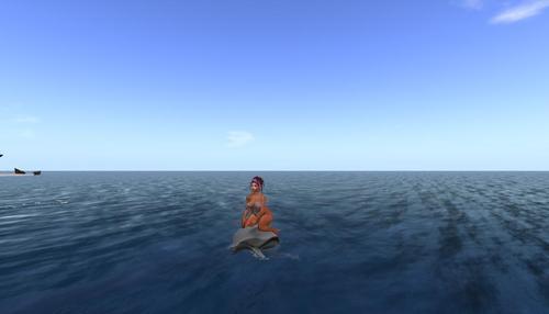 Web 6315221163c0bd5bc925a40f