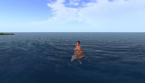 Web 6315230b232df02212590a37