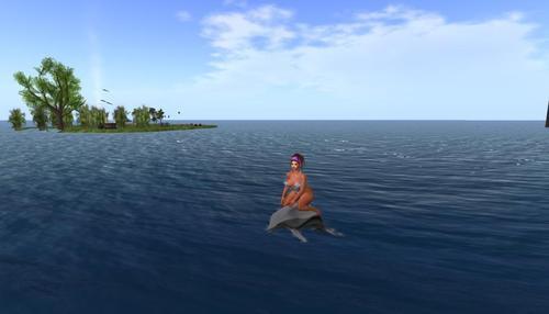 Web 63152317f81d930fcc566074