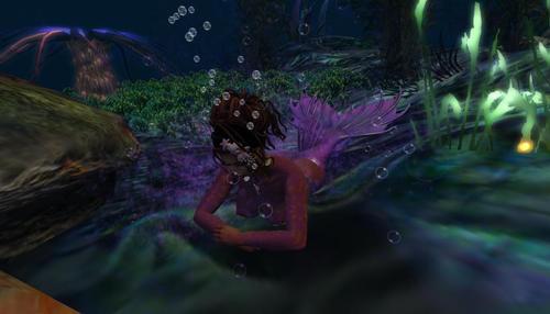 Web 6315c214c9fe41072c4fb557