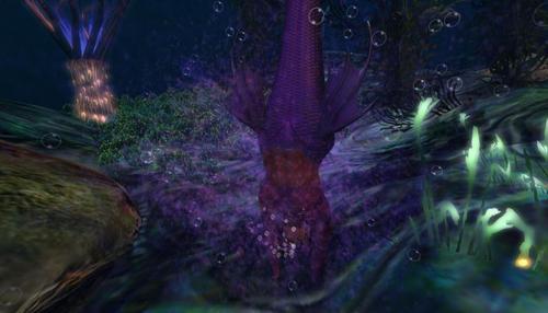 Web 6315c247cf7a007c3c562f3d