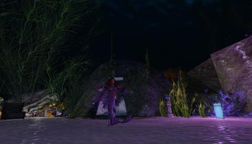 Web 6317ffddc9fe413b0e4fb557