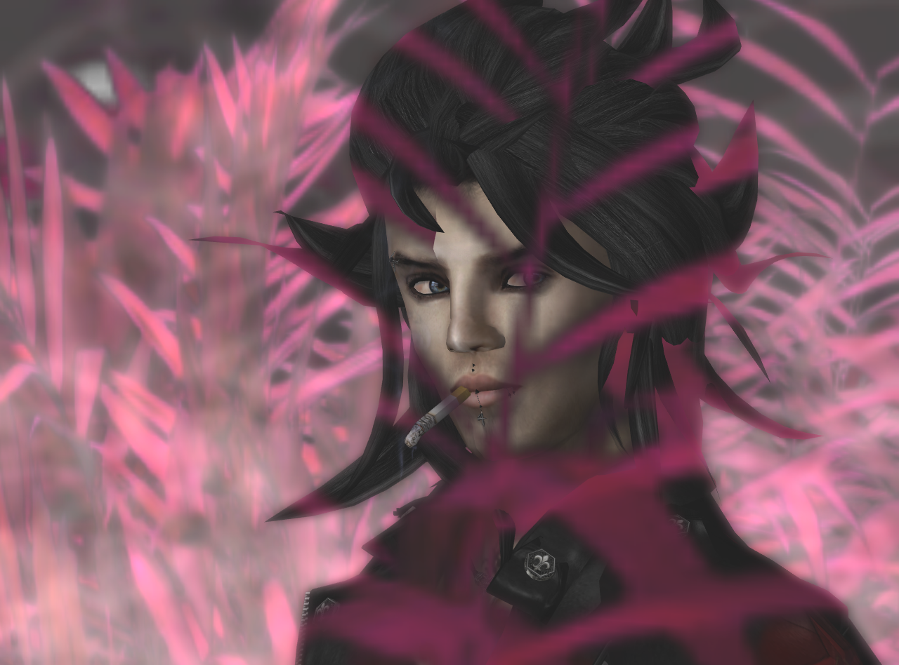 Original 500d94786f05d76eb5000001