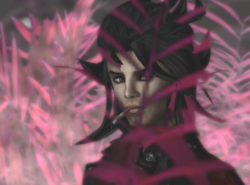 Web 500d94786f05d76eb5000001