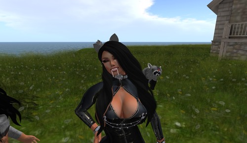 Web 534a1ec3128cc92579000001