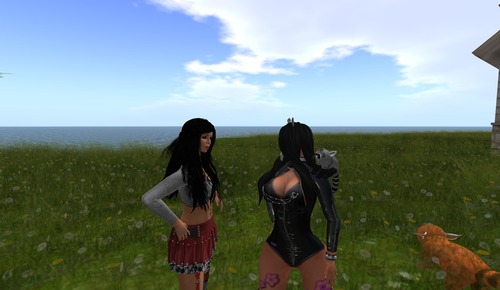 Web 534a1f0b8da572274e000001