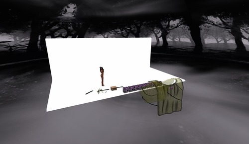 Web 534b3831a73e211a93000001