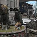 Thumb 5eda7de4289dd24753a116f6