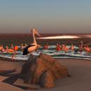 Thumb 5ee0eeefd774f85dcc3b96f2