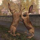 Thumb 5f5cfedbd9859c293eecb27a