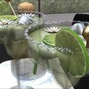 Thumb 6252f74ac1348127f678f302