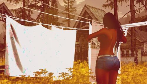 Web 5a11836f73ed171adc000001