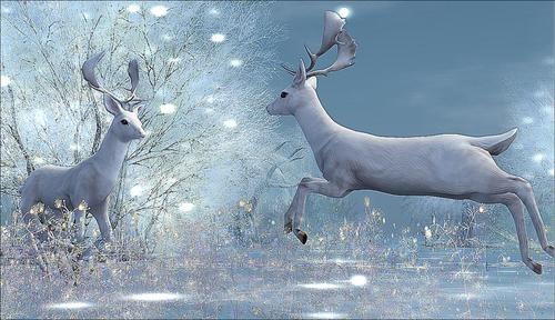 Web 5a1309ebd9859c1f23000001