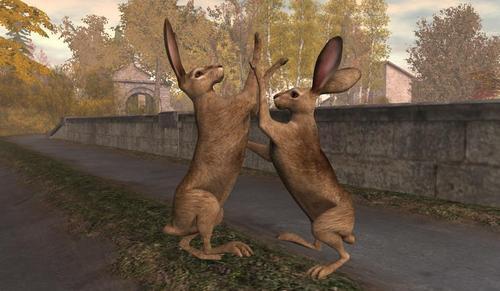 Web 5f5cfedbd9859c293eecb27a