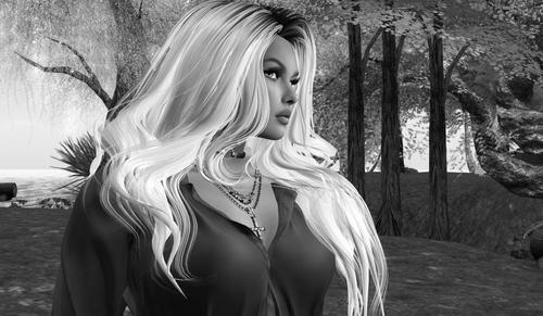 Web 5fcf69c992adf12edfed4f11