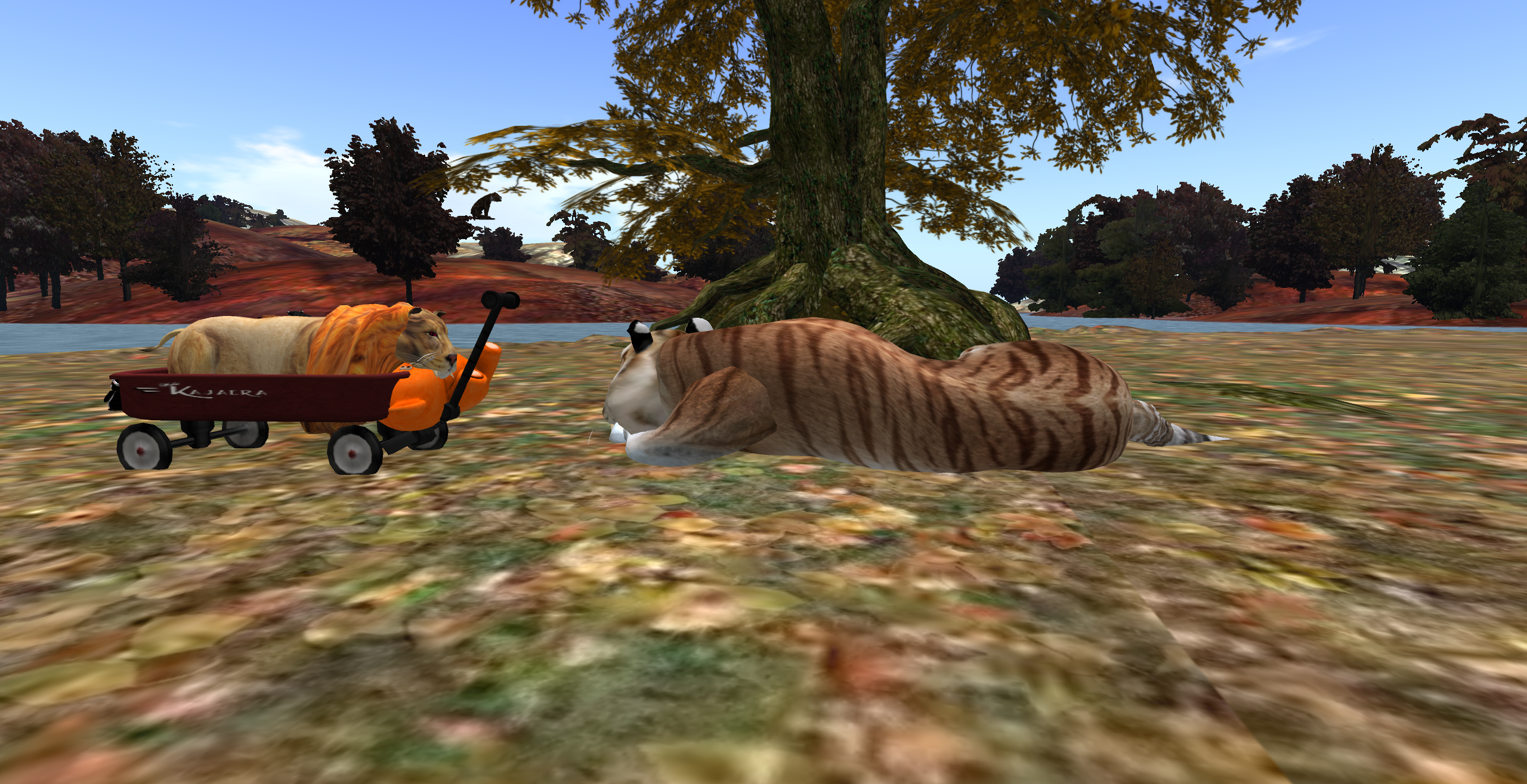 Original 58320d27f8a1ec062a000001