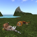 Thumb 57dad940e85cda524c000001